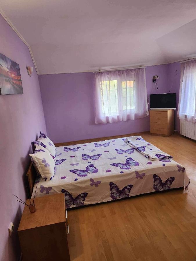 Guest House Iveta Sofya Dış mekan fotoğraf